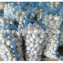Fresh Garlic Professional Manufacturer From China